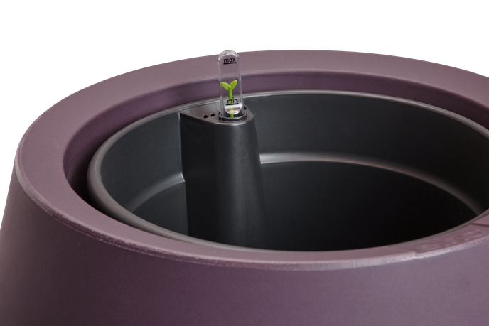 june split low 46cm vintage plum